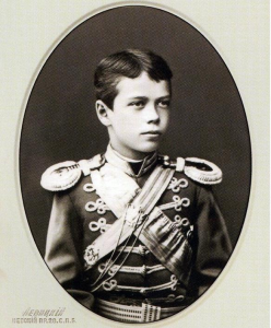 Цесаревич Николай Александрович.1879 год.